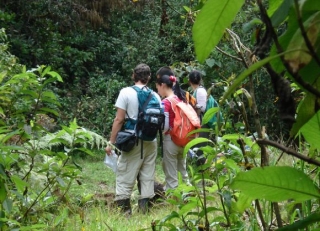  group of friends in nature